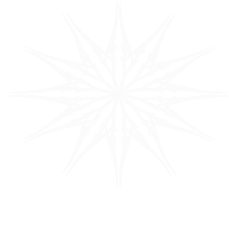 ACTIV VOLT